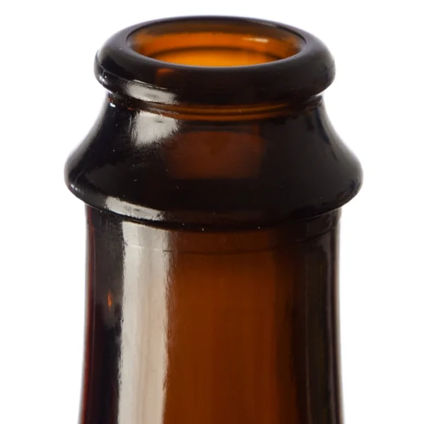 Bevott's Signature Sparkling Amber Beer Bottles - 16.9oz Size